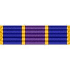 New York National Guard Counterdrug Ribbon